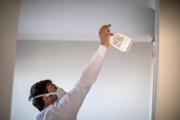 Best Black Mold Remediation in Litchfield, MI